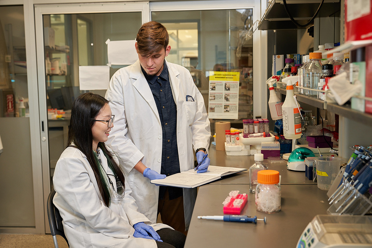 photo: students in a laboratory